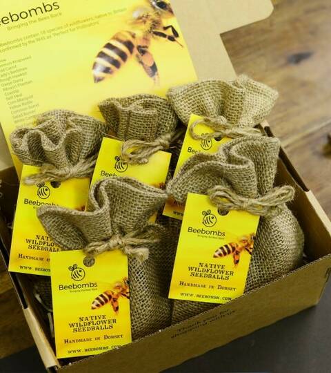 Beebombs