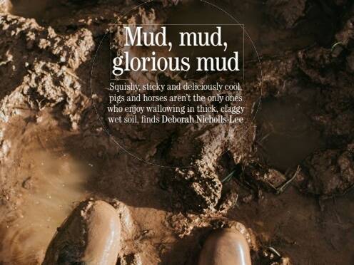 Country life mud day article pic