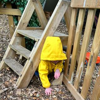 manual override of the alt attribute