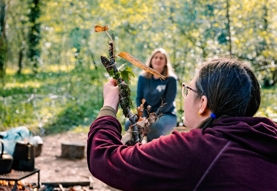 manual override of the alt attribute