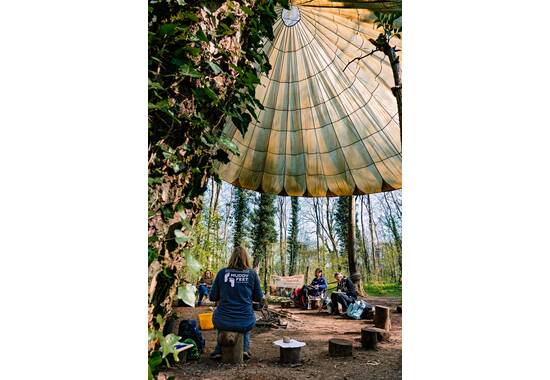 manual override of the alt attribute