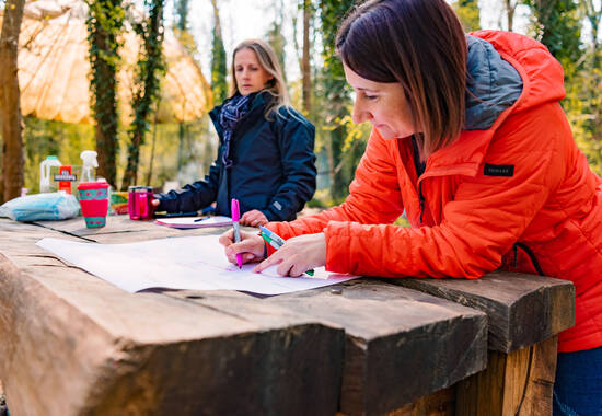 manual override of the alt attribute