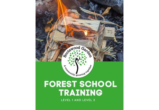 manual override of the alt attribute