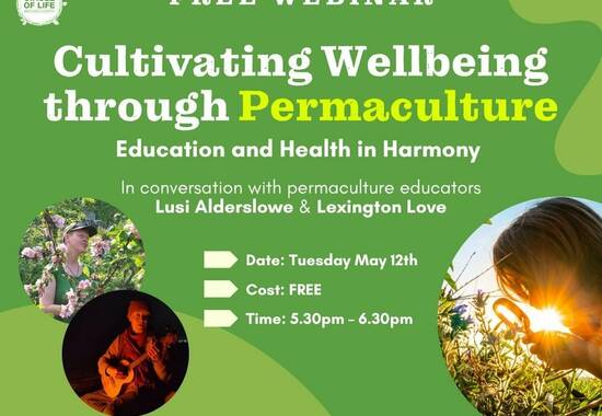 manual override of the alt attribute