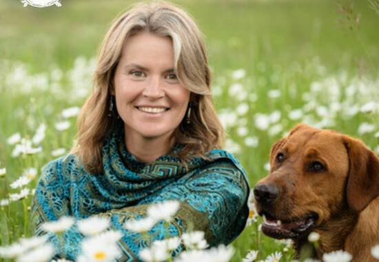 manual override of the alt attribute