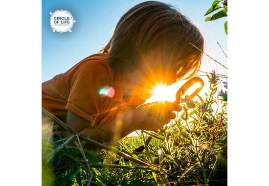 manual override of the alt attribute