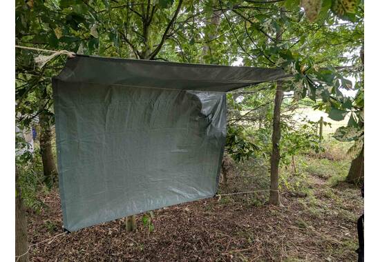 manual override of the alt attribute