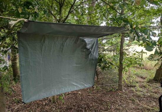 manual override of the alt attribute