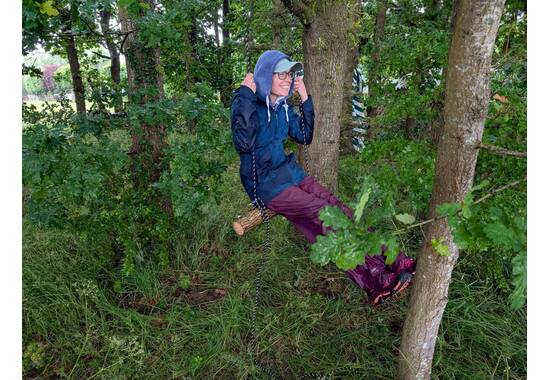 manual override of the alt attribute