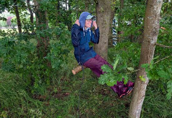 manual override of the alt attribute