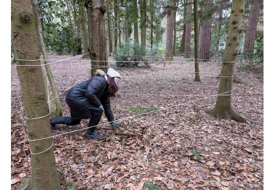 manual override of the alt attribute