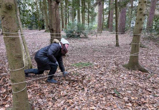 manual override of the alt attribute