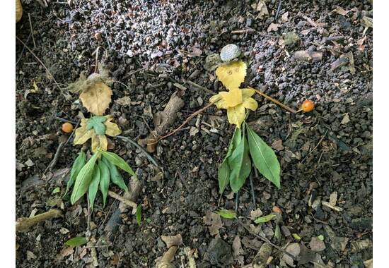 manual override of the alt attribute