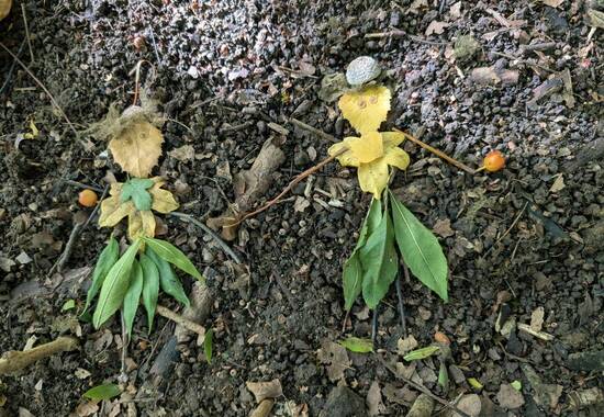 manual override of the alt attribute