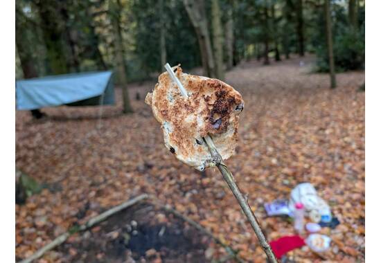 manual override of the alt attribute