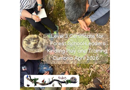 manual override of the alt attribute