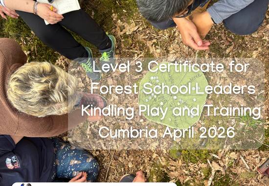 manual override of the alt attribute