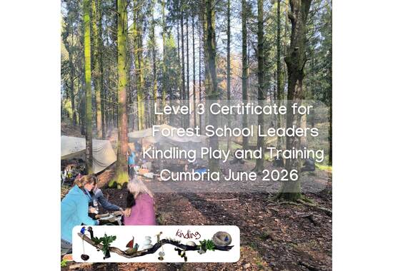 manual override of the alt attribute