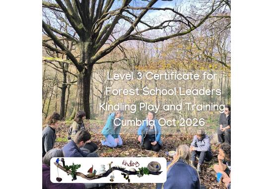 manual override of the alt attribute