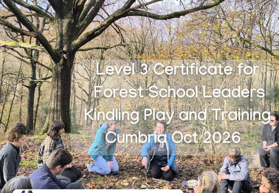 manual override of the alt attribute