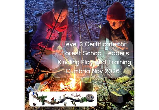 manual override of the alt attribute