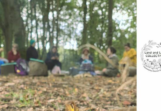 manual override of the alt attribute