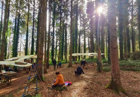 manual override of the alt attribute