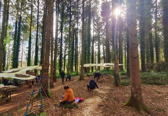 manual override of the alt attribute