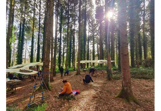 manual override of the alt attribute