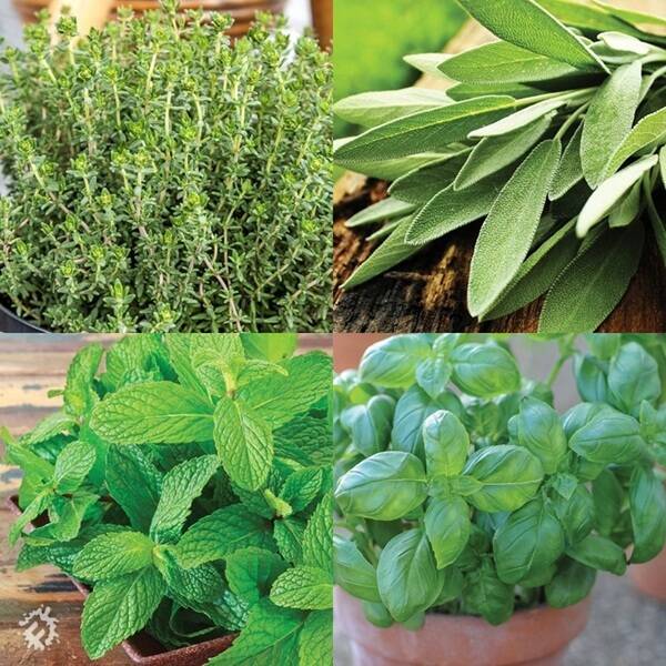 manual override of the alt attribute