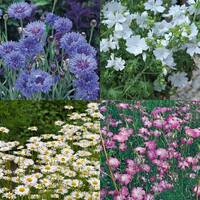 manual override of the alt attribute