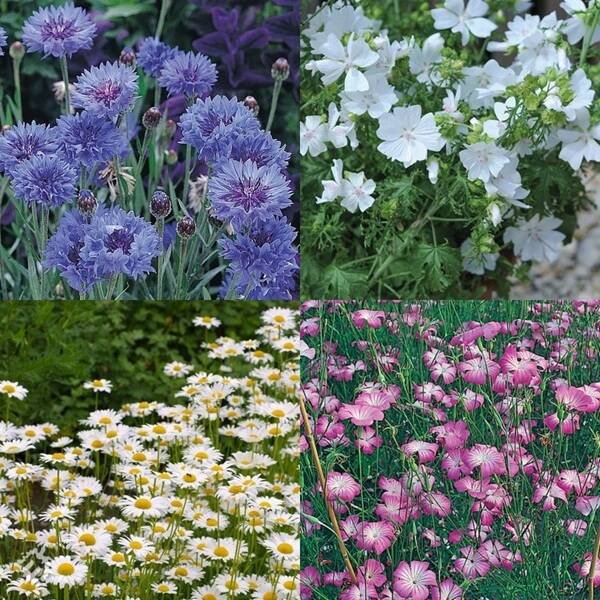 manual override of the alt attribute