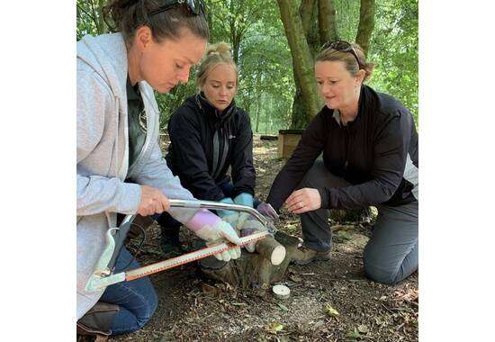 manual override of the alt attribute