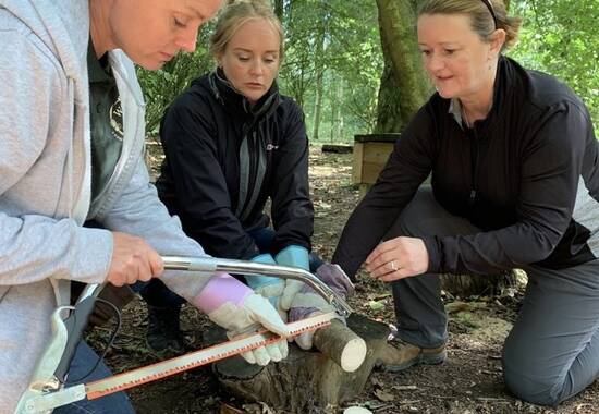 manual override of the alt attribute