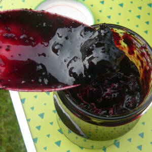 Bilberry jam recipe