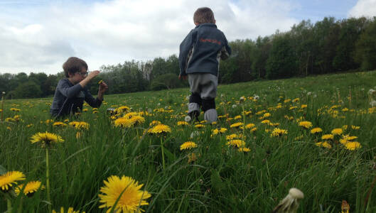 Curriculum Outdoors