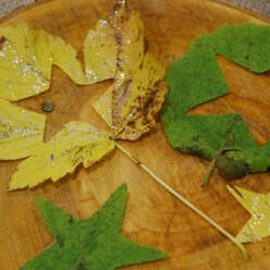 Leaf decorations
