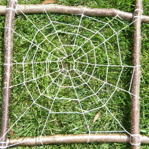 String spiders web