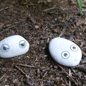 Pebble creatures
