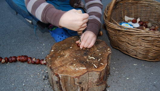 Tool use & Traditional Crafts