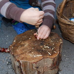 Drilling conkers