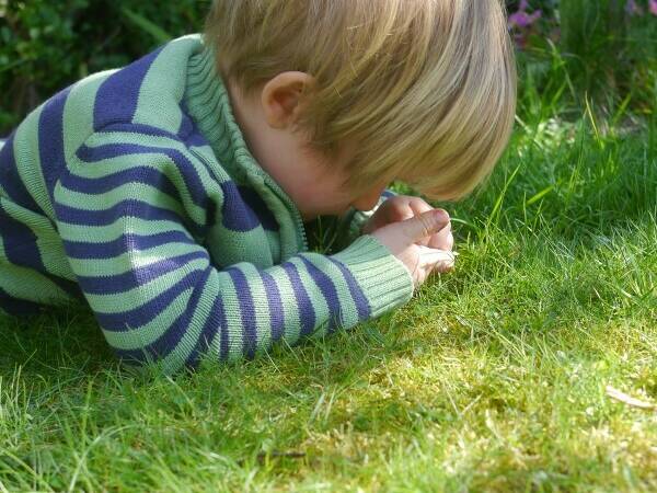 Category Spotting Scavenging 600x600a