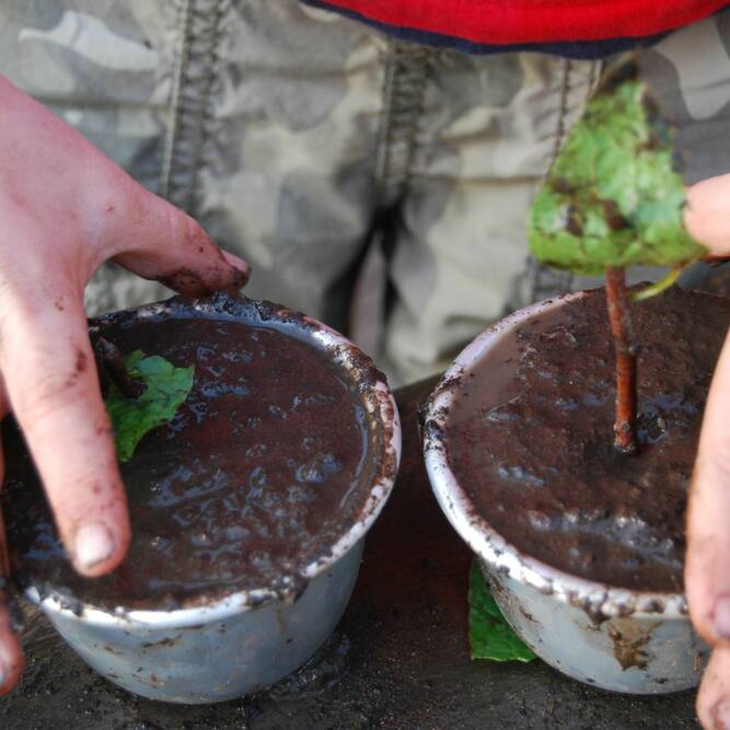 Mud pots and hands