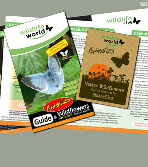 Butterfly Attractor Seed Pack and Guide