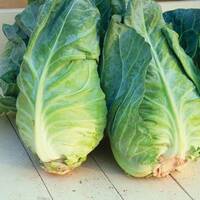 manual override of the alt attribute