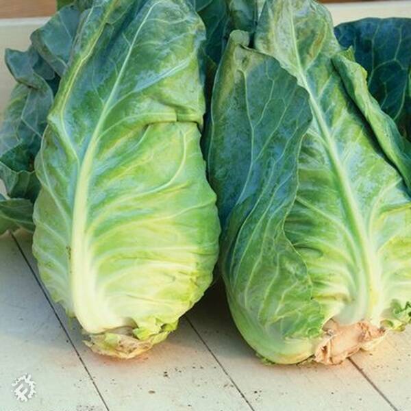 manual override of the alt attribute