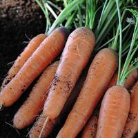 manual override of the alt attribute