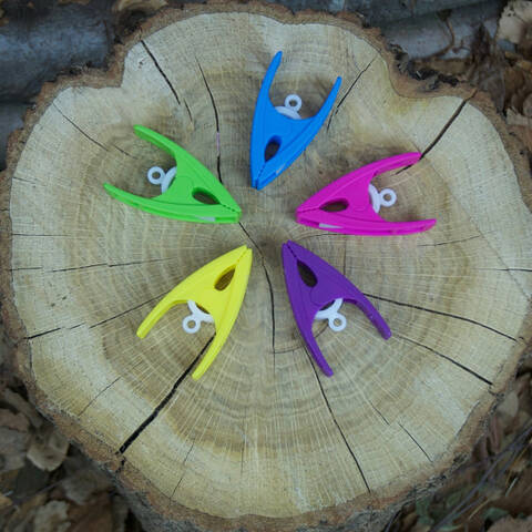 Coloured Pegs