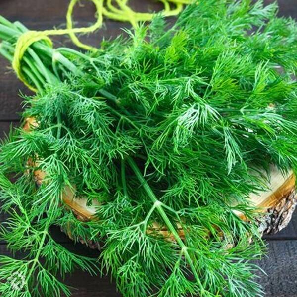 manual override of the alt attribute