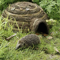 manual override of the alt attribute